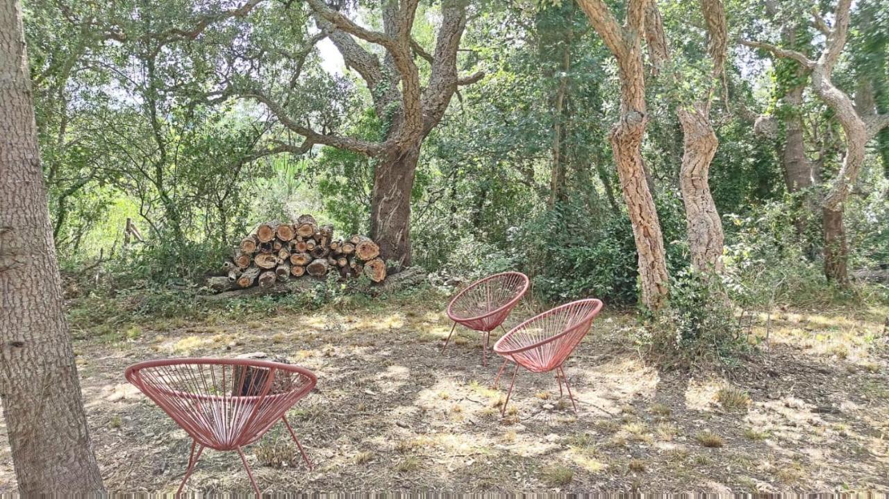 Les Pierres De La Massane - Vue Sur Les Alberes Διαμέρισμα Argelès-sur-Mer Εξωτερικό φωτογραφία