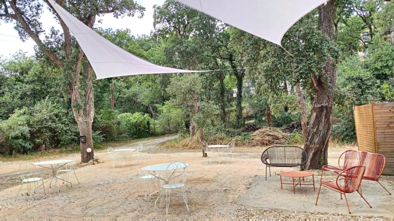 Les Pierres De La Massane - Vue Sur Les Alberes Διαμέρισμα Argelès-sur-Mer Εξωτερικό φωτογραφία